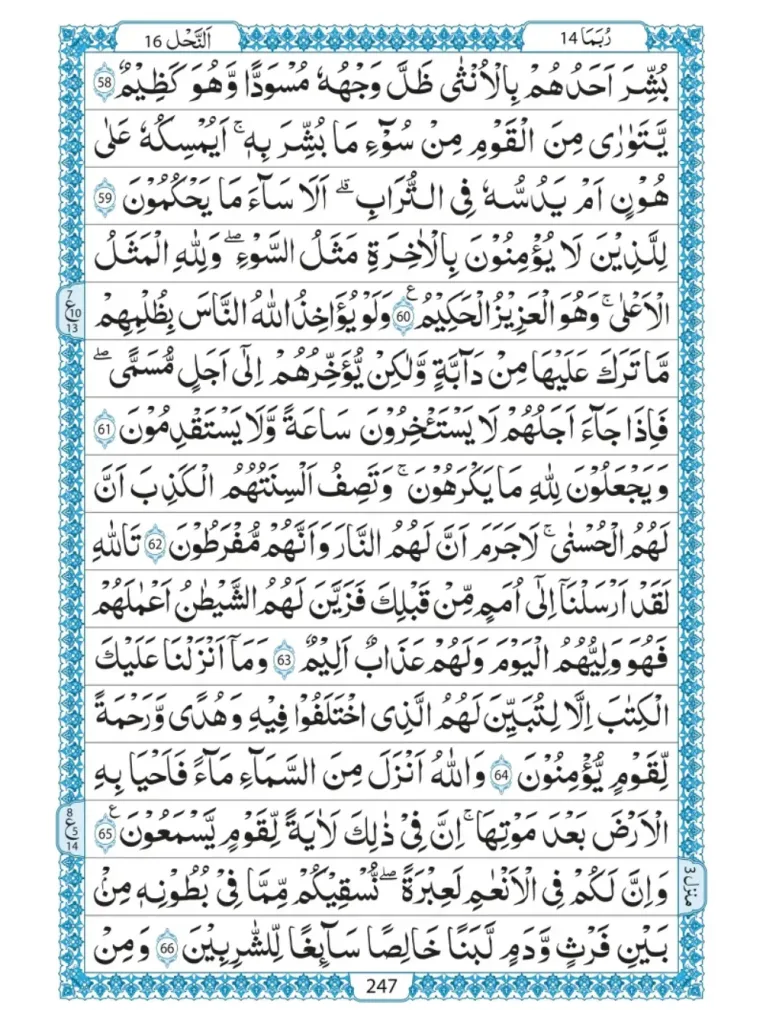 Quran Para 14 – Rubama 